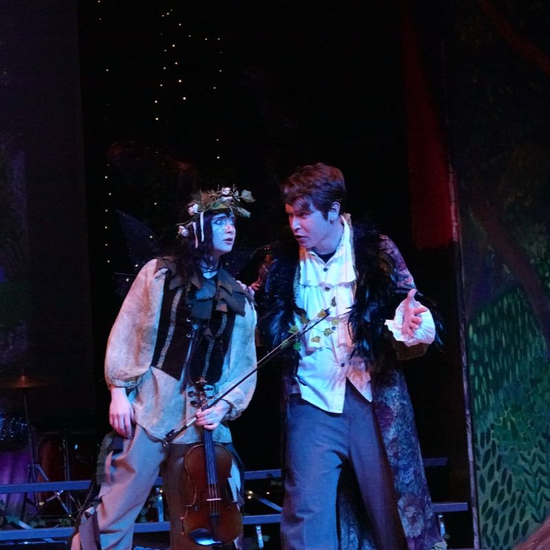 performing, visual, and studio arts opportunities